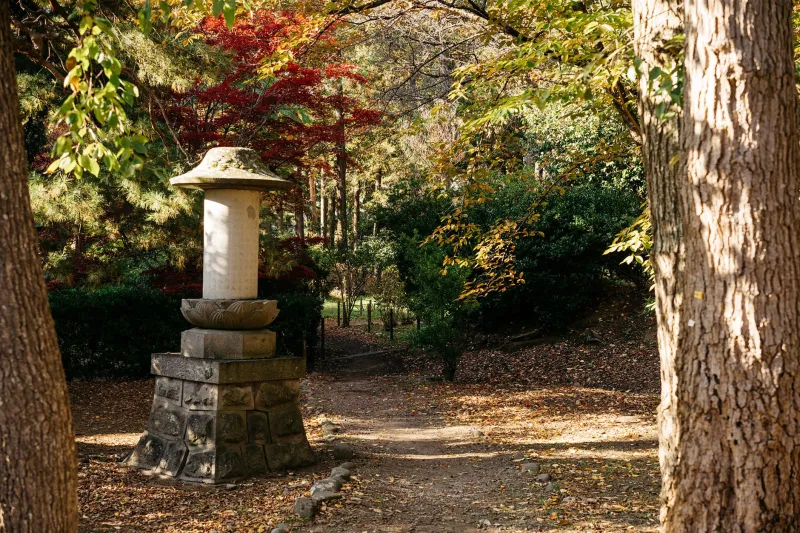 Off the Beaten Path and Into the Sacred: What Western Visitors Actually Find on Kyushu's Forgotten Pilgrimage Routes