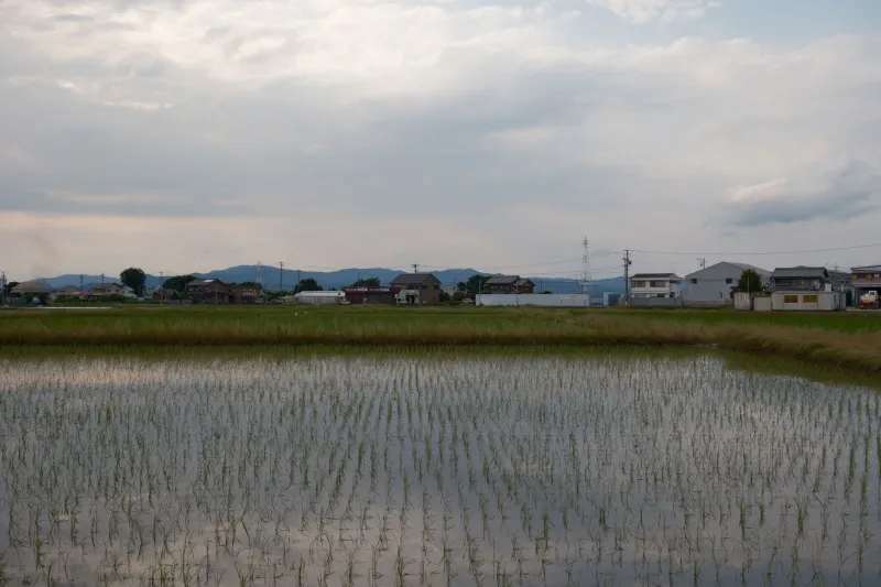Slow Down to Speed Up: How Kyushu's Quiet Corners Are Winning the Remote Work Race