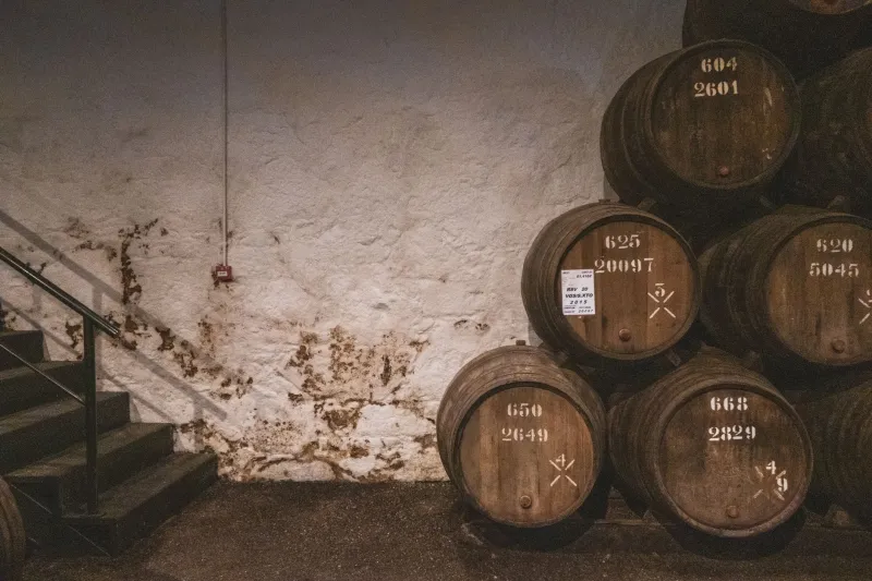 Barrel Rebels: The Kyushu Distillers Shaking Up Japan's Whiskey World One Small Batch at a Time