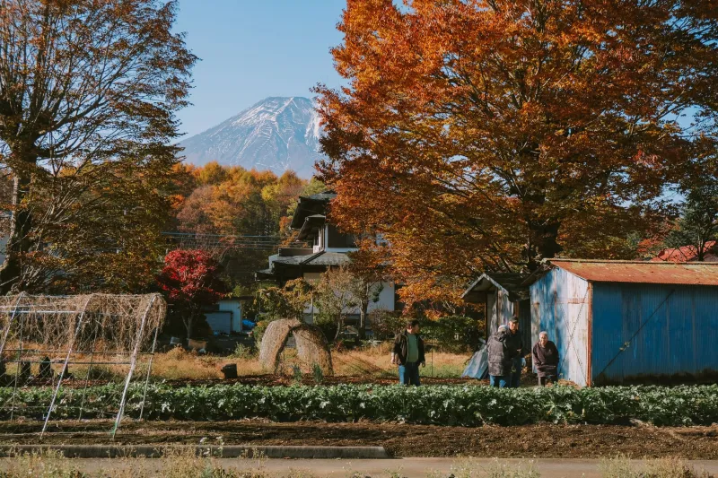 Slower On Purpose: The Unexpected Career Advantages of Choosing Kyushu Over Tokyo